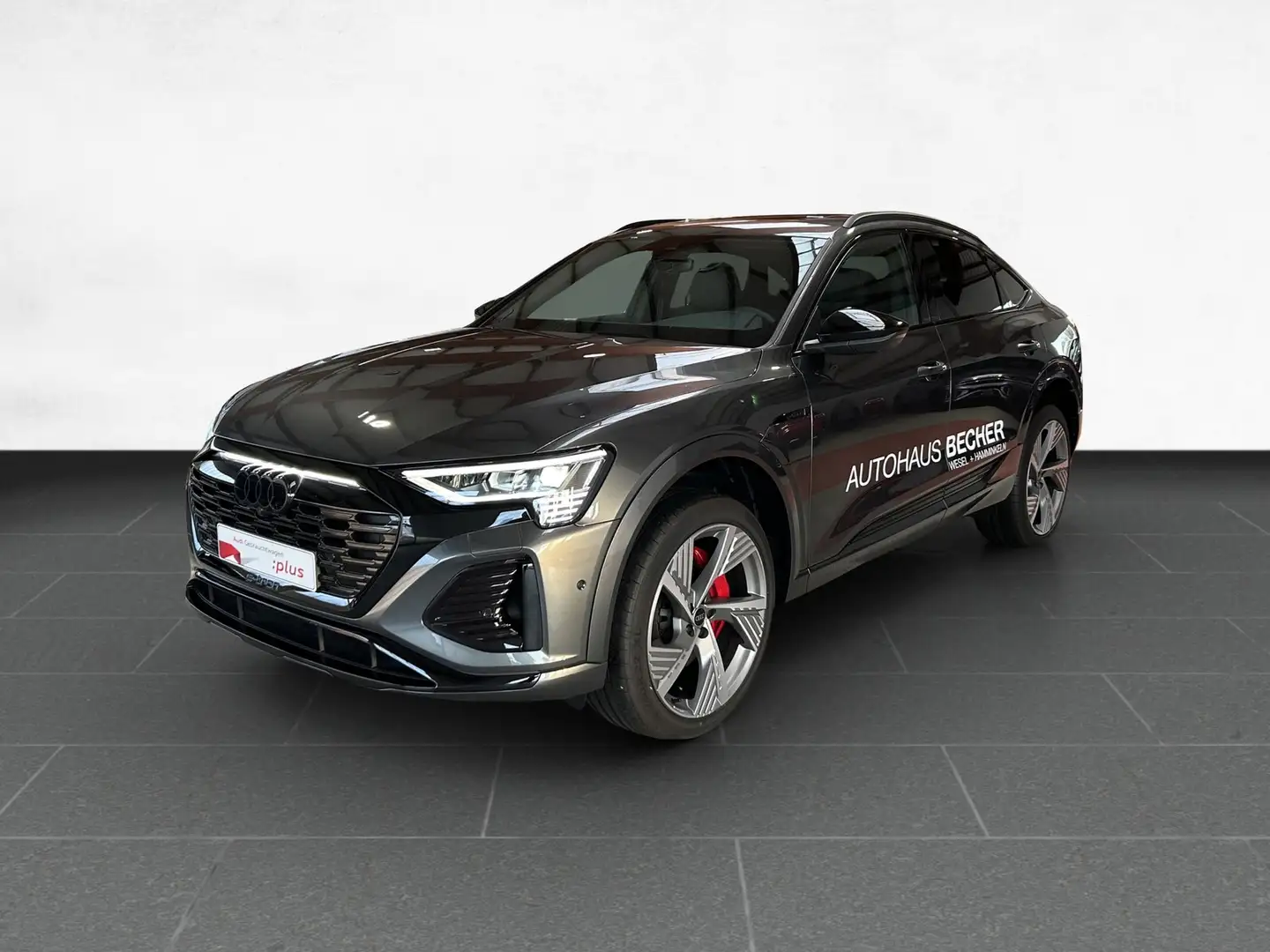 Audi Q8 e-tron Sprtb S line 50 quattro /Navi/Pano/LED Grau - 2