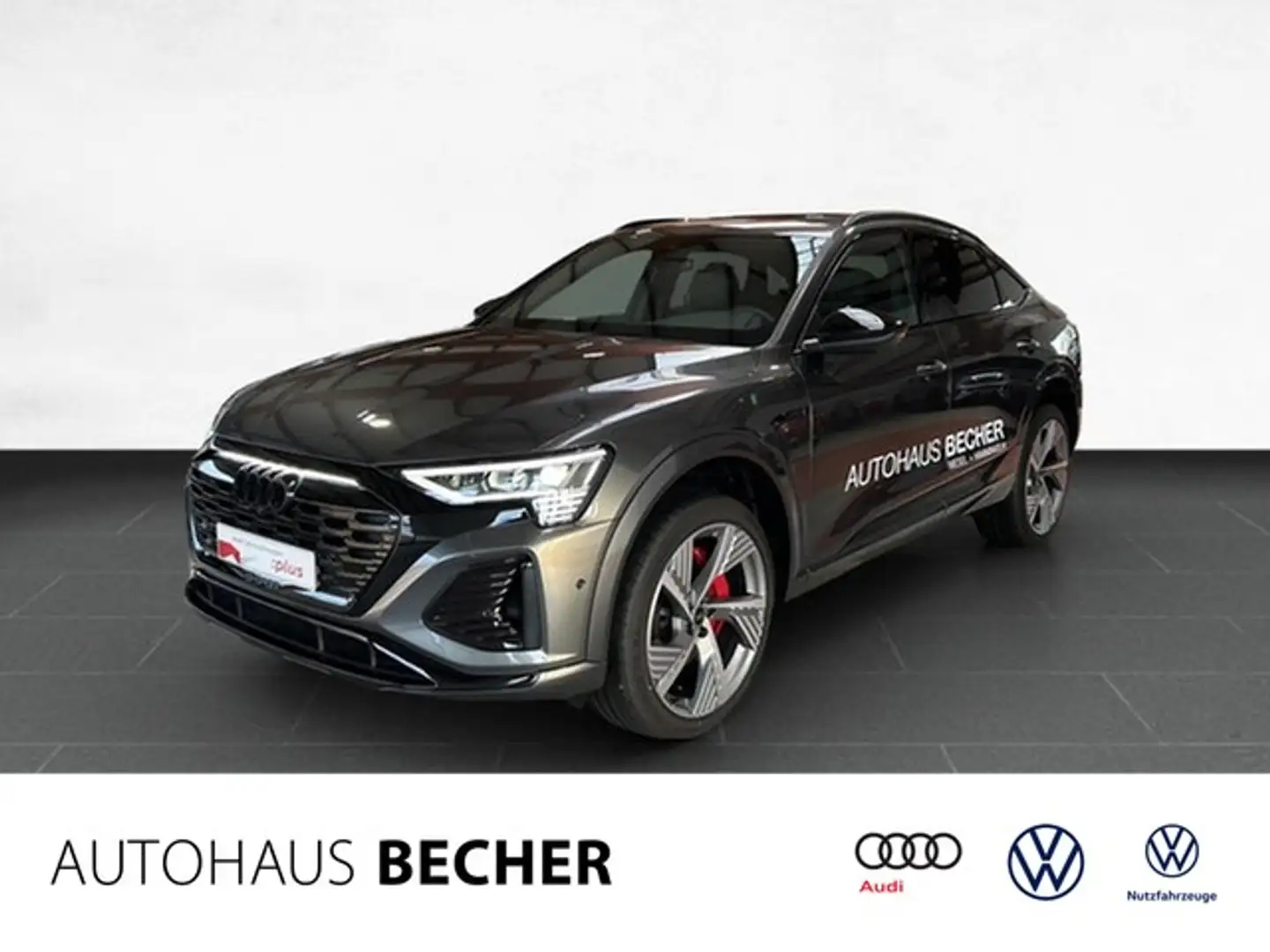 Audi Q8 Sportb S line 50 e-tron quattro /Navi/Pano/Matr... Grau - 1