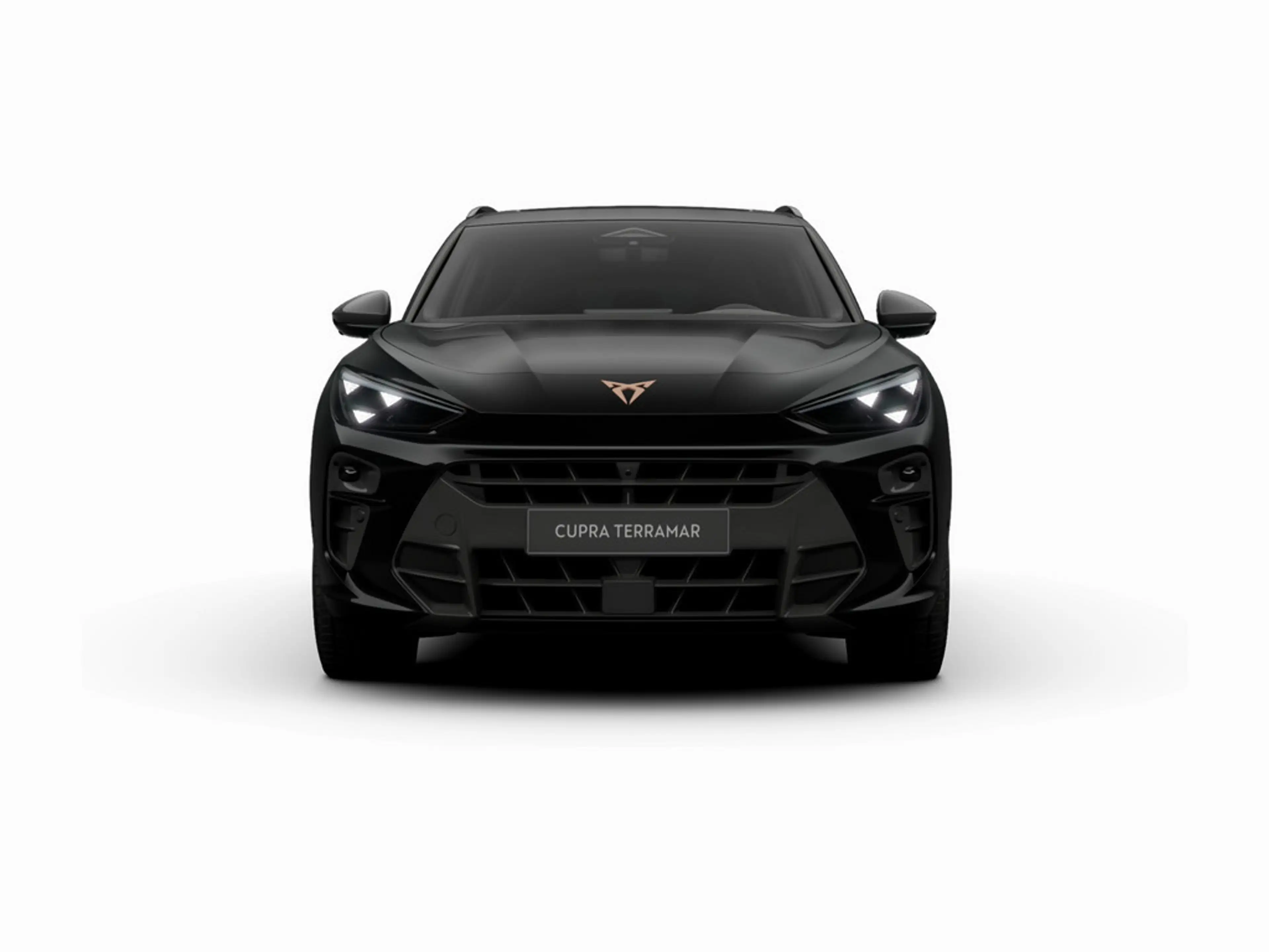CUPRA Terramar VZ DSG e-Hybrid MATRIX PANO AHK DCC — photo 11