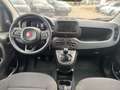 Fiat Panda Pandina Hybrid MY25 70PS Geel - thumbnail 8