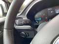 Ford Focus TITANIUM 2.0ECOBLUE AUTOM-LED|ACC|HEAD-UP|KLIMA- Blanc - thumbnail 14