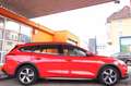 Ford Focus FOCUS TURNIER* ACTIVE X* AUTOMATIK* 1.HD* LED* Rouge - thumbnail 6