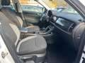 Skoda Kodiaq 2.0 TDI Drive 125 4x4 Aut+PANORAMA+ACC+KLIMATR+LED Blanc - thumbnail 12
