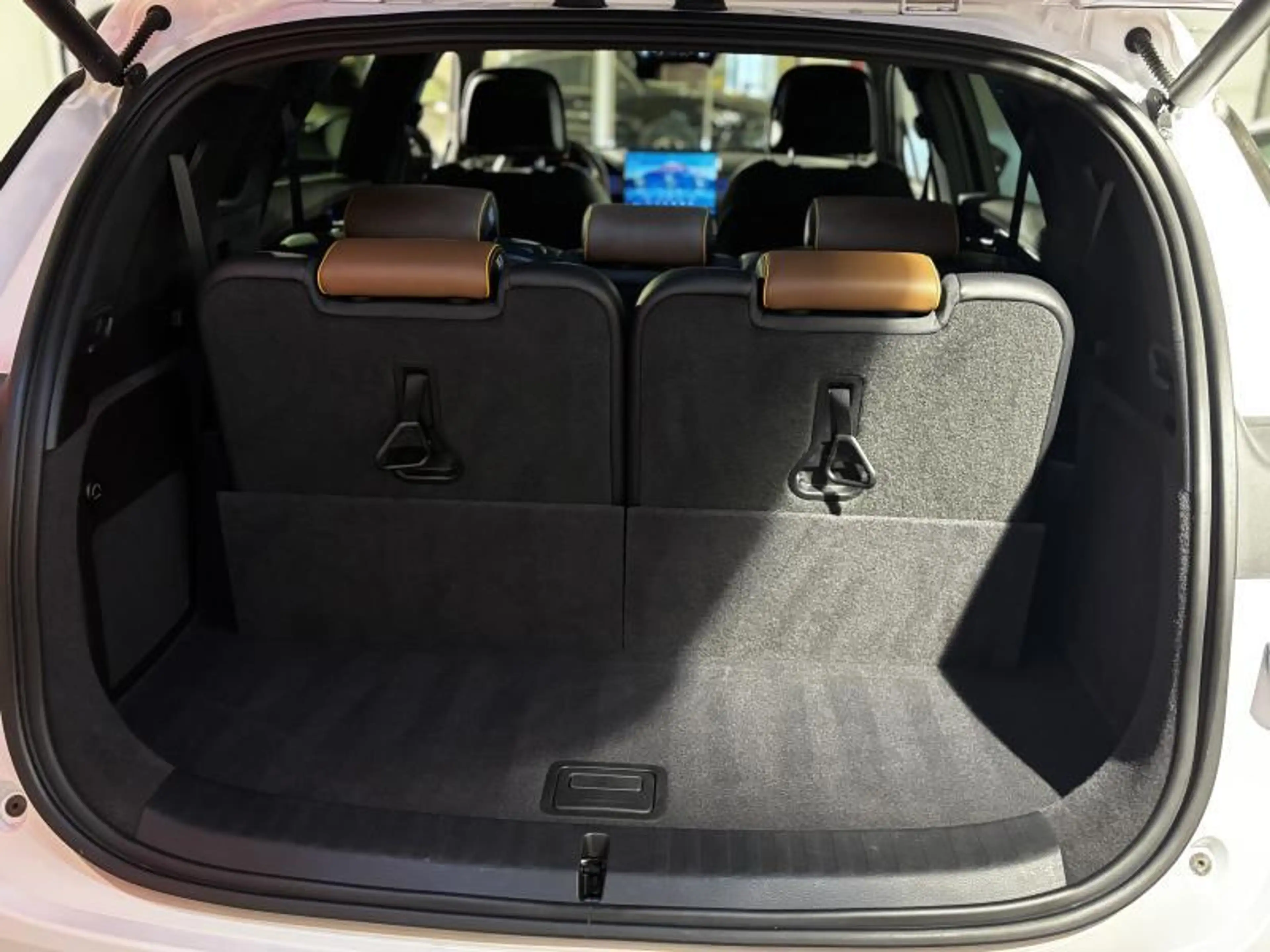 BYD Tang TANG — photo 14