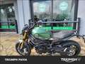 Benelli Leoncino Verde - thumbnail 3