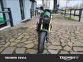 Benelli Leoncino Verde - thumbnail 7