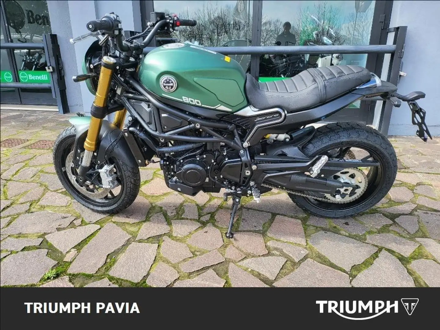 Benelli Leoncino Zielony - 2