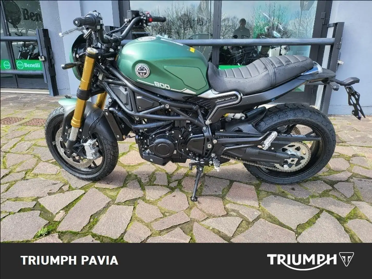 Benelli Leoncino Verde - 2