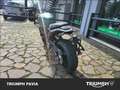 Benelli Leoncino Verde - thumbnail 4