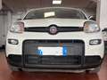 Fiat Panda Panda III 2021 1.0 firefly hybrid City Life s Bianco - thumbnail 1