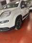Fiat Panda Panda III 2021 1.0 firefly hybrid City Life s Bianco - thumbnail 3