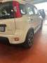 Fiat Panda Panda III 2021 1.0 firefly hybrid City Life s Bianco - thumbnail 6