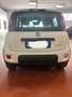 Fiat Panda Panda III 2021 1.0 firefly hybrid City Life s Bianco - thumbnail 2