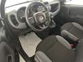 Fiat Panda Panda III 2021 1.0 firefly hybrid City Life s Bianco - thumbnail 10