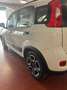 Fiat Panda Panda III 2021 1.0 firefly hybrid City Life s Bianco - thumbnail 5