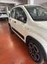 Fiat Panda Panda III 2021 1.0 firefly hybrid City Life s Bianco - thumbnail 4