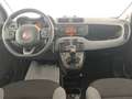 Fiat Panda Panda III 2021 1.0 firefly hybrid City Life s Bianco - thumbnail 15