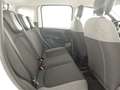 Fiat Panda Panda III 2021 1.0 firefly hybrid City Life s Alb - thumbnail 16