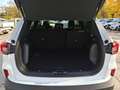 Ford Kuga 2.5 Duratec PHEV 178 kW Active X Weiß - thumbnail 13