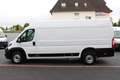 Peugeot Boxer 35 L4H2 140 *neuModell*360°PDC*Kamera*Holz Weiß - thumbnail 9