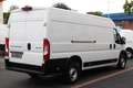 Peugeot Boxer 35 L4H2 140 *neuModell*360°PDC*Kamera*Holz Weiß - thumbnail 3