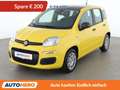 Fiat Panda 1.0 Mild-Hybrid Pandina Icon Gelb - thumbnail 1