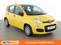 Fiat Panda 1.0 Mild-Hybrid Pandina Icon Gelb - thumbnail 8