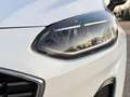 Ford Fiesta 5p 1.1 Titanium 75cv Bianco - thumbnail 5