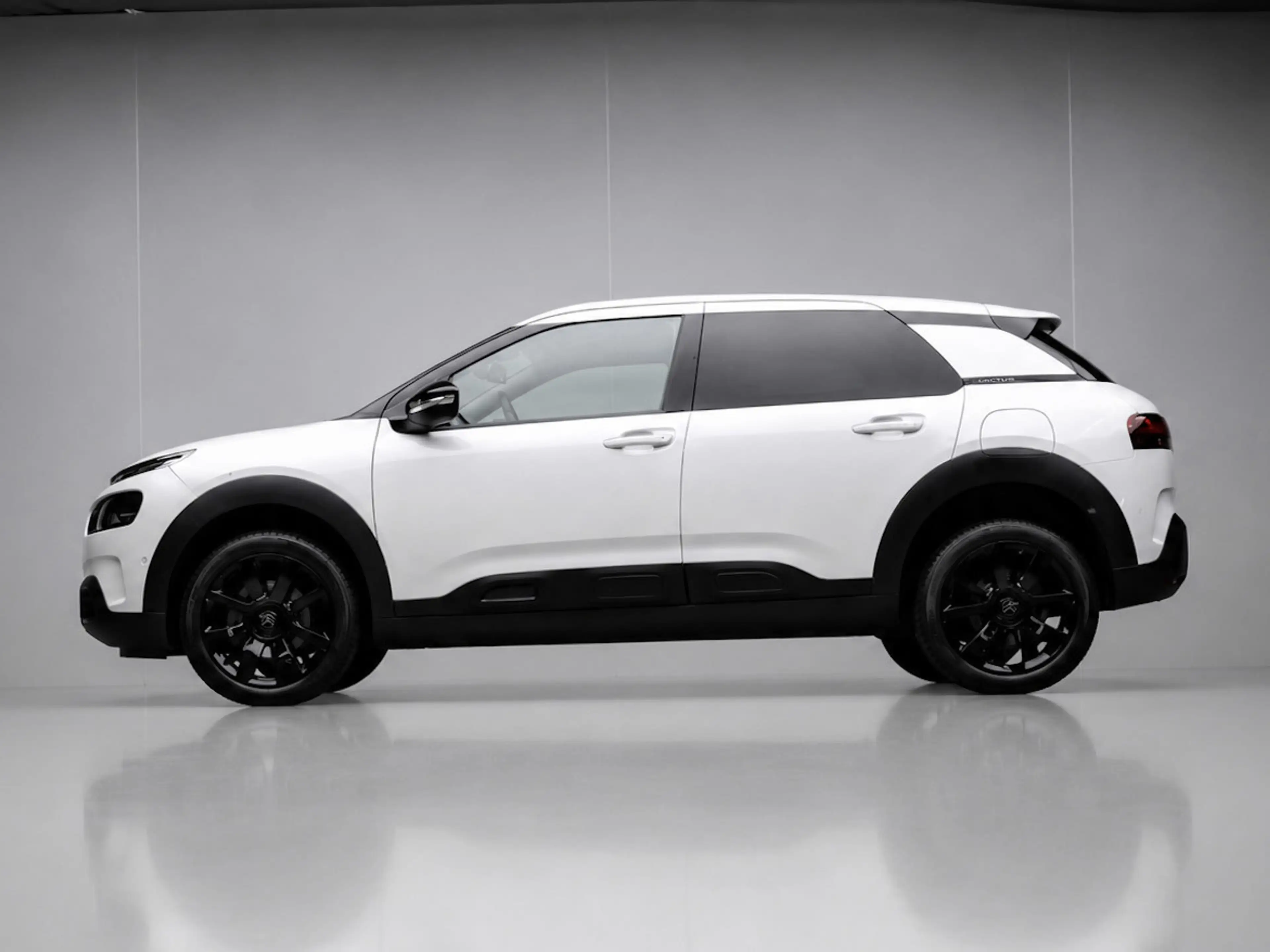 Citroen C4 Cactus 1.2 PureTech Shine (PANORAMADAK,APPLE CARPLAY,STOE