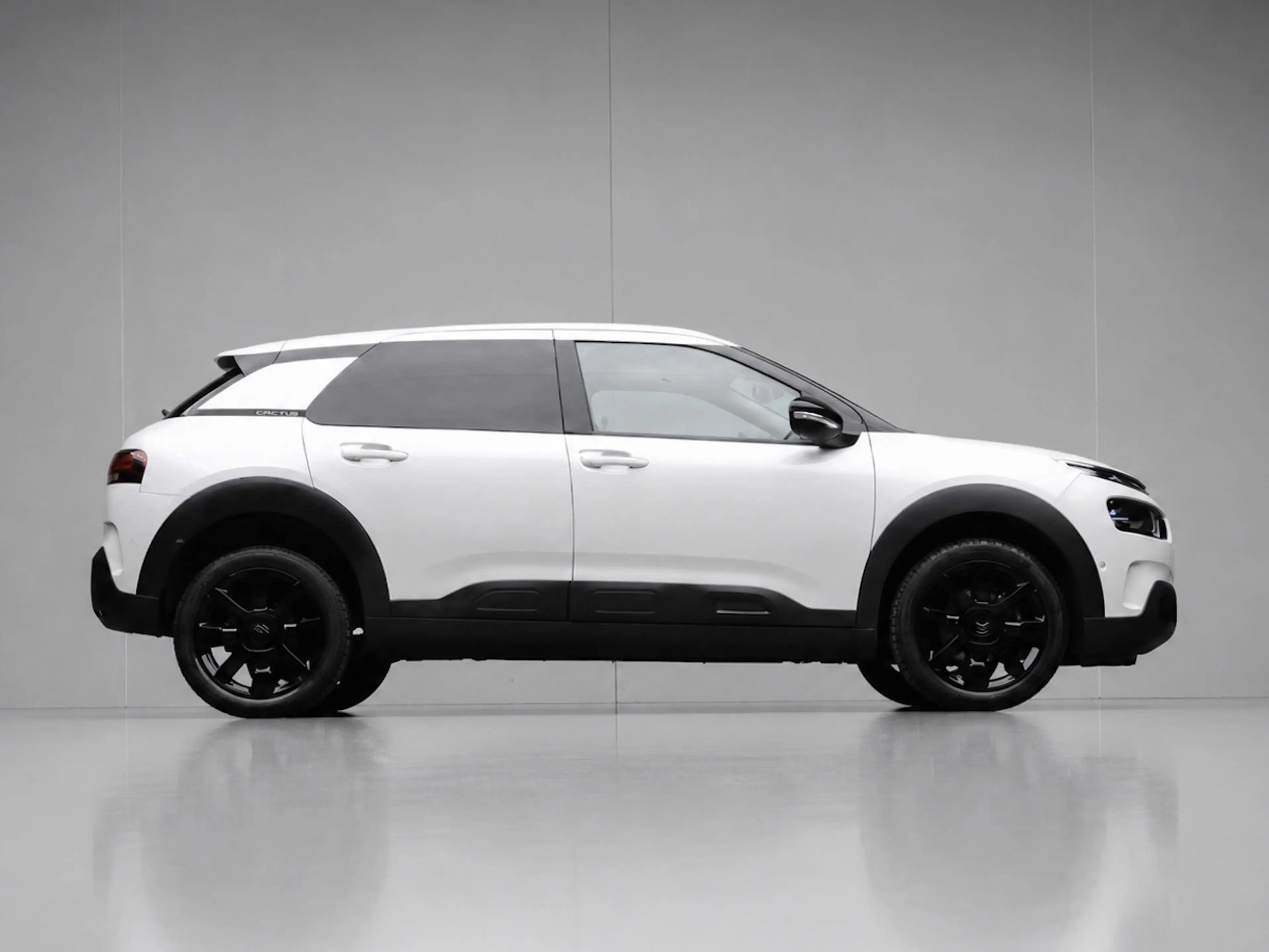Citroen C4 Cactus 1.2 PureTech Shine (PANORAMADAK,APPLE CARPLAY,STOE — photo 6
