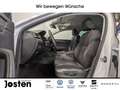 Skoda Superb Combi Style 2.0 TDI DSG Navi AHK ACC CarPlay Weiß - thumbnail 7