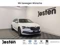 Skoda Superb Combi Style 2.0 TDI DSG Navi AHK ACC CarPlay Weiß - thumbnail 1