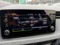 Skoda Kamiq Black Dots 1.0 TSI 115 CV Blu/Azzurro - thumbnail 13