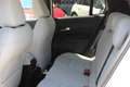 Fiat 600 Hybrid mHEV 110 6-Gang eDCT La Prima Rot - thumbnail 10