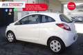 Ford Ka/Ka+ Ford Ka+ 1.2 8V 69CV Titanium 51KW ANNO 2016 Bianco - thumbnail 15