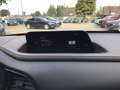 Mazda CX-30 SKYACTIV-X M HYBRID Selection, LEDER, BOSE, 360°Ka Schwarz - thumbnail 14