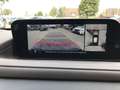 Mazda CX-30 SKYACTIV-X M HYBRID Selection, LEDER, BOSE, 360°Ka Schwarz - thumbnail 25