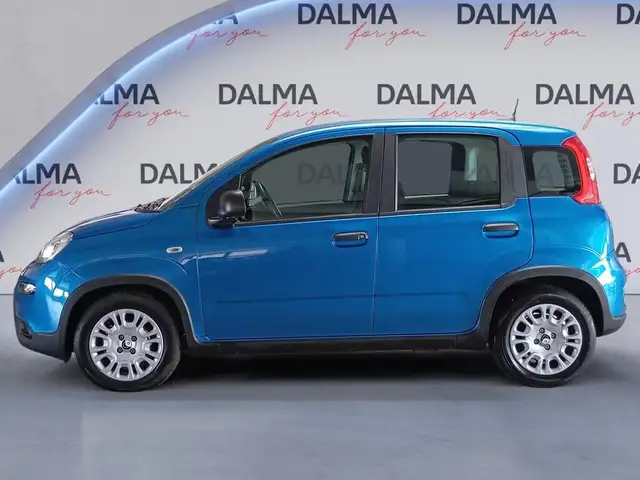 Fiat Panda view 2
