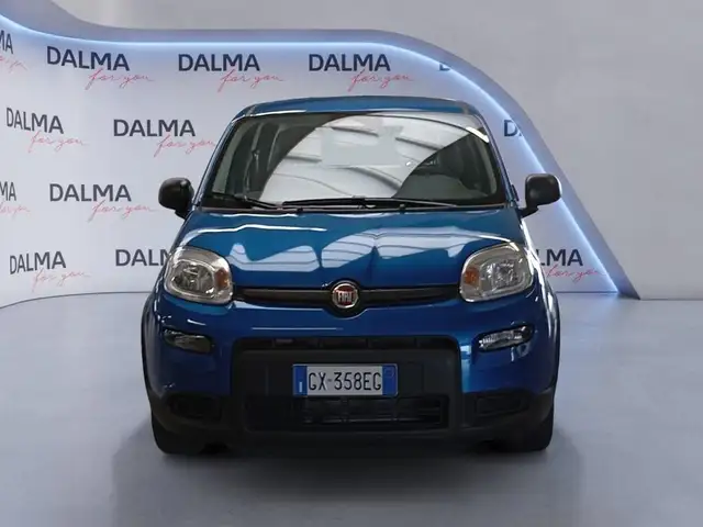 Fiat Panda view 8