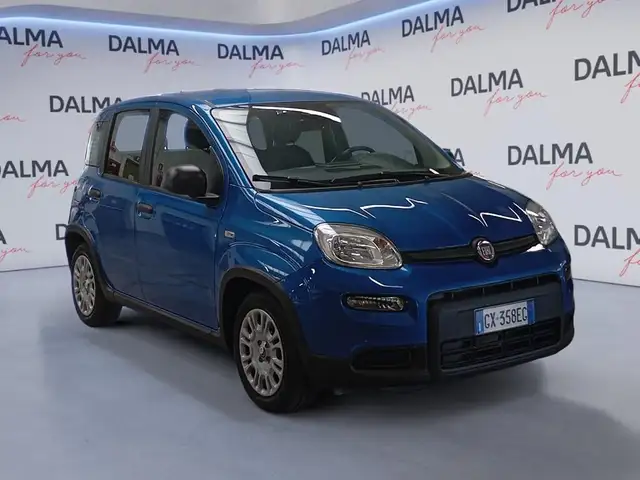 Fiat Panda view 7