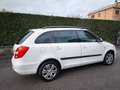 Skoda Fabia SKODA FABIA WAGON 1,6 TDI- OK NEOPATENTATI Blanc - thumbnail 11