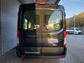 Ford Transit 2.0 TDCi FT 350 L3H2 8-Sitz ACC RFK Xen. Schwarz - thumbnail 10