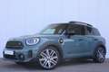 MINI Cooper S Countryman Mini 2.0 E ALL4 Business Edition MINI Excitement-p Groen - thumbnail 28