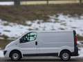 Opel Vivaro L1H1 2,7t Kredit* Klima* Frische Pickerl* Gepflegt Weiß - thumbnail 7