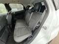Ford EcoSport 1.0 EcoBoost ST-Line B&O Stoelverwarming Cruise Pd Wit - thumbnail 13