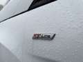Ford EcoSport 1.0 EcoBoost ST-Line B&O Stoelverwarming Cruise Pd Wit - thumbnail 3