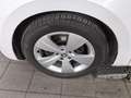Skoda Superb Kombi 2.0 TDI Ambition Navi LED vc Canton Blanc - thumbnail 11