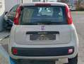 Fiat Panda Panda 0.9 t.air t. natural power Lounge 80cv E6 Beige - thumbnail 3