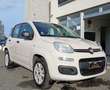 Fiat Panda Panda 0.9 t.air t. natural power Lounge 80cv E6 Beige - thumbnail 4