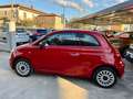 Fiat 500 500 1.3 mjt Lounge 95cv Rosso - thumbnail 5